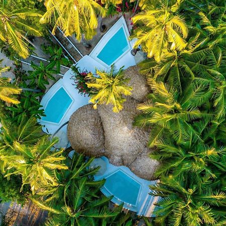 Blue Moon Resort Jambiani  Dış mekan fotoğraf