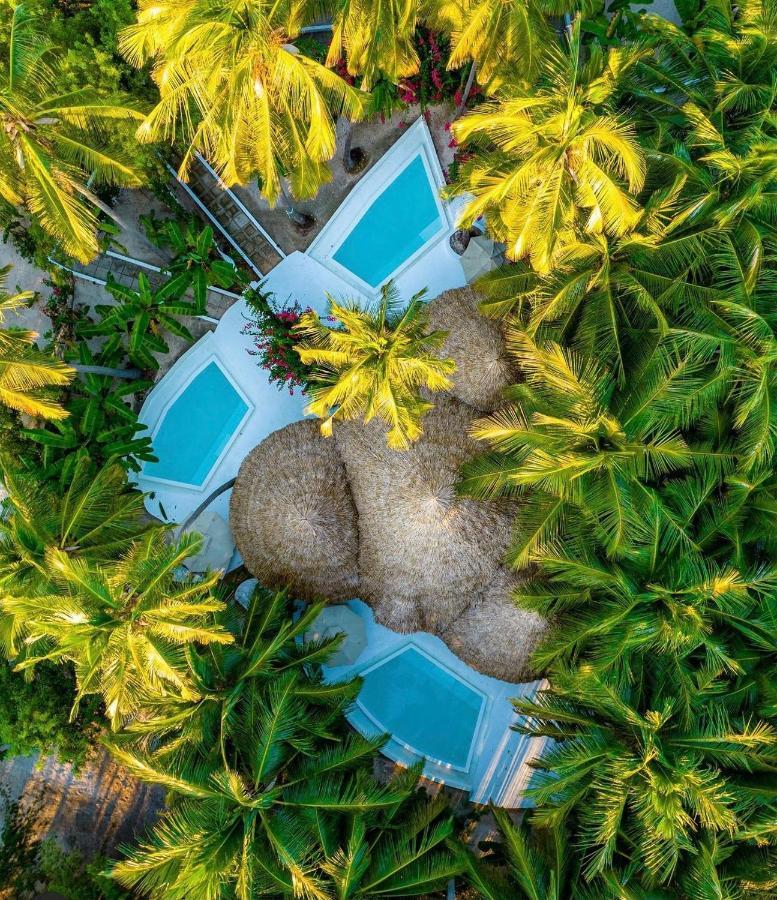 Blue Moon Resort Jambiani  Dış mekan fotoğraf