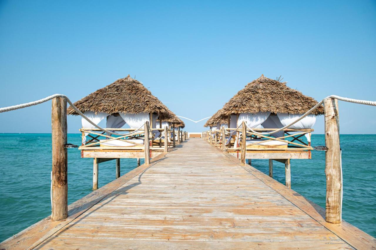 Blue Moon Resort Jambiani  Dış mekan fotoğraf