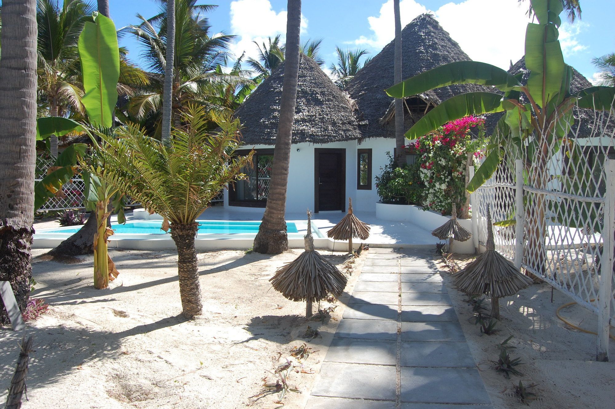 Blue Moon Resort Jambiani  Dış mekan fotoğraf
