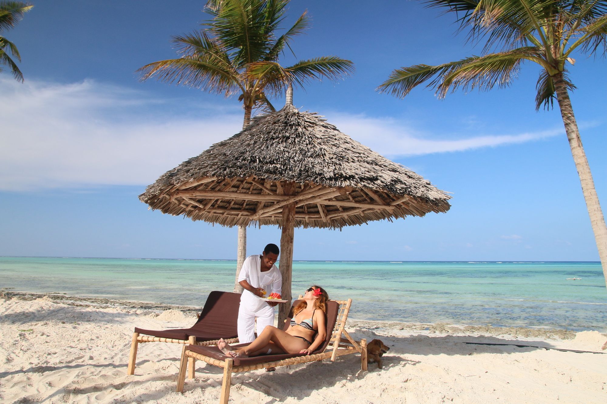 Blue Moon Resort Jambiani  Dış mekan fotoğraf